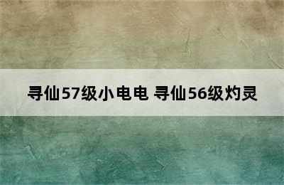 寻仙57级小电电 寻仙56级灼灵